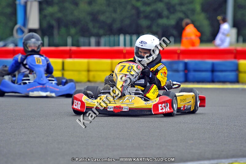 DSC_ (671).jpg